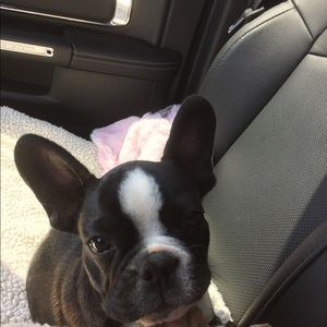 Meet your Posher, Lisa